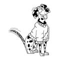 Vector Cartoon Dalmatian Dog Character isolated illustration