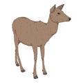 Vector Cartoon Deer. Full Body Isolated Illustration