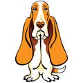 vector Cartoon Dog Basset Hound breed