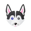 Vector cartoon dog face of Siberian Husky breed