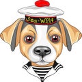 Vector cartoon dog Jack Russell Terrier sailor Royalty Free Stock Photo
