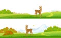 Autumn deer backgrounds