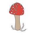 Vector cartoon fly agaric mushroom icon isolated on white background Royalty Free Stock Photo
