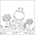 Vector cartoon of funny hippo driving car in the junggle.