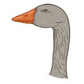 Vector Cartoon Goose Head Illustration