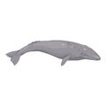 Vector Cartoon Gray Whale Royalty Free Stock Photo