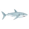 Vector Cartoon Great White Shark