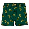 Vector Cartoon Green Male Underwear with Pattern