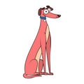 Vector Cartoon greyhound dog Character isolated illustration