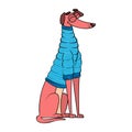 Vector Cartoon greyhound dog Character isolated illustration