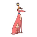 Vector Cartoon greyhound dog Character isolated illustration