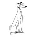 Vector Cartoon greyhound dog Character isolated illustration