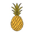 Vector cartoon hand drawn isolated pineapple Royalty Free Stock Photo