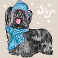 Vector cartoon hipster dog Skye Terrier breed smiling