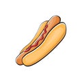 Vector cartoon hotdog icon with sausage isolated on white background. Vintage hot dog label design element.