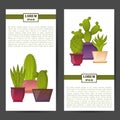 Vector cartoon house plant cactus background