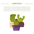 Vector cartoon house plant cactus background