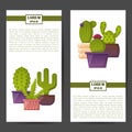 Vector cartoon house plant cactus background