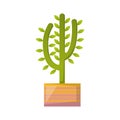 Vector cartoon house plant cactus icon