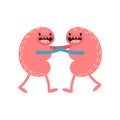 Vector cartoon human anatomy. Healthy kidneys