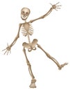 Vector cartoon human skeleton dancing halloween party