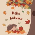 Hello Autumn. Hedgehog. Welcome banner. Vector design.