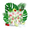 Vector illustration of two strawberry Mojito cocktails on tropic leaves. Royalty Free Stock Photo