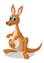 Cute kangaroo vector cartoon illustration Royalty Free Stock Photo