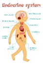 Vector cartoon illustration of endocrine system for kids