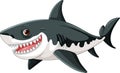 A vector cartoon illustration of a great white shark with big teeth smiling and swimming isolated on a white background Royalty Free Stock Photo
