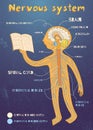 Vector cartoon illustration of human nervous system for kids