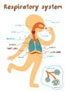 Vector cartoon illustration of human respiratory system for kids