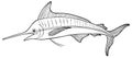 Vector Cartoon Blue Marlin Line Art