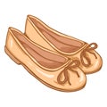 Vector Cartoon Illustration - Pair of Women Ballet Flats