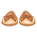 Vector Cartoon Illustration - Pair of Women Ballet Flats. Front View