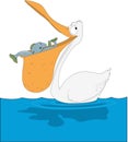 Pelican with Fish in Beak Cartoon Illustration