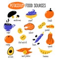 Vector cartoon illustration of potassium food sources.