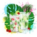 Vector of strawberry and classic Mojito cocktails on palm leaves