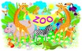 Poster For Zoo. Illustration Of Two Giraffes And Other Cheerful Animals.