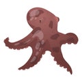 Vector cartoon isolated illustration of burgundy octopus. Pouple with tentacles or limbs with suction cups. Design element on the Royalty Free Stock Photo