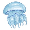 Vector Cartoon Single Jellyfish