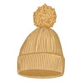 Vector Cartoon Knitted Hat with Pompom