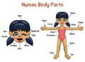 Cartoon model girl with body parts name