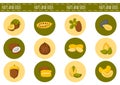 Vector cartoon nuts and seeds icons