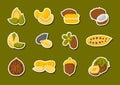 Vector cartoon nuts and seeds icons