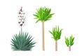 Vector cartoon plants clip art