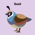 Vector cartoon quail