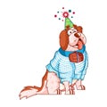 Vector Cartoon Saint bernard Dog Character isolated illustration