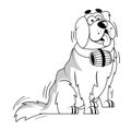 Vector Cartoon Saint bernard Dog Character isolated illustration