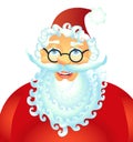 Vector cartoon Santa Claus smile happy face decoration with spec